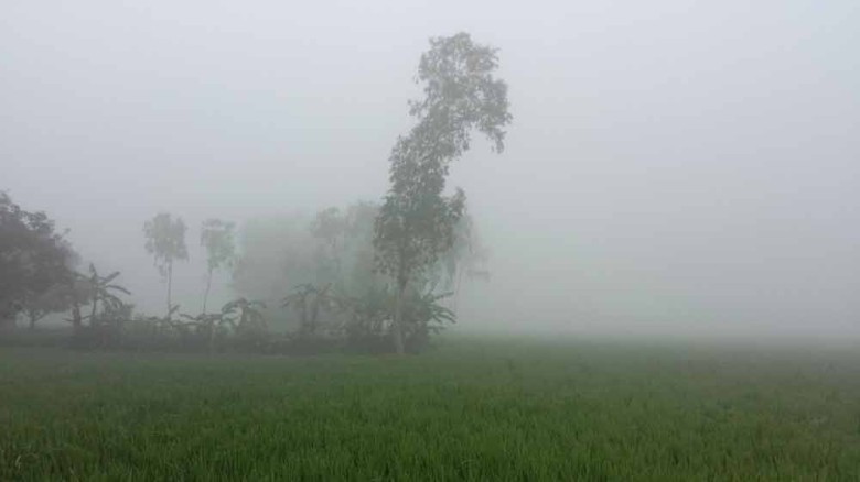 পঞ্চগড়ে তাপমাত্রা ৯ ডিগ্রির ঘরে, দেখা নেই সূর্যের...